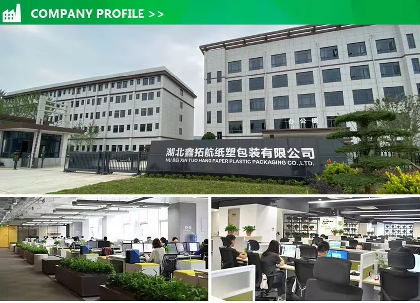 company profile company profile